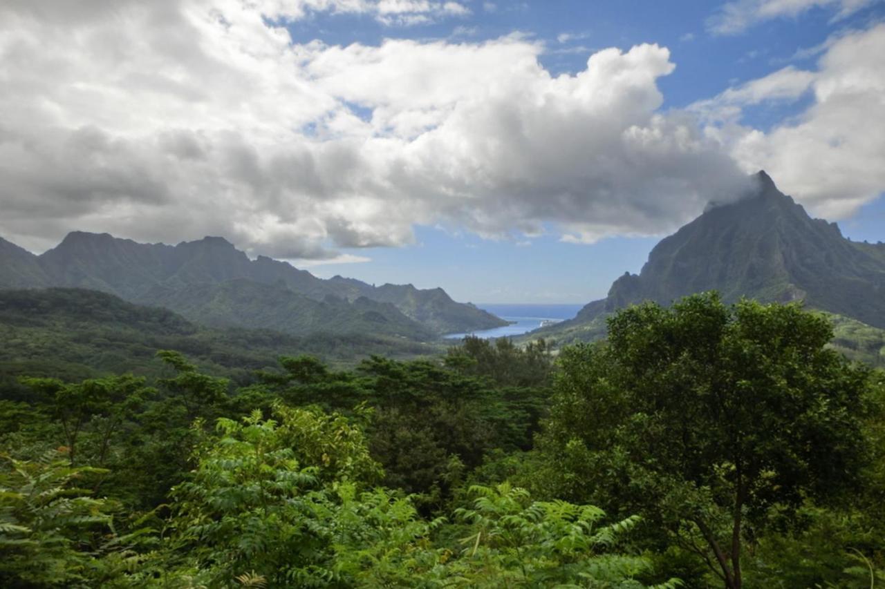 Auti Studio Direct Access To The Beach On Moorea With Ac -Wifi - Netflix Apartment Haapiti ภายนอก รูปภาพ