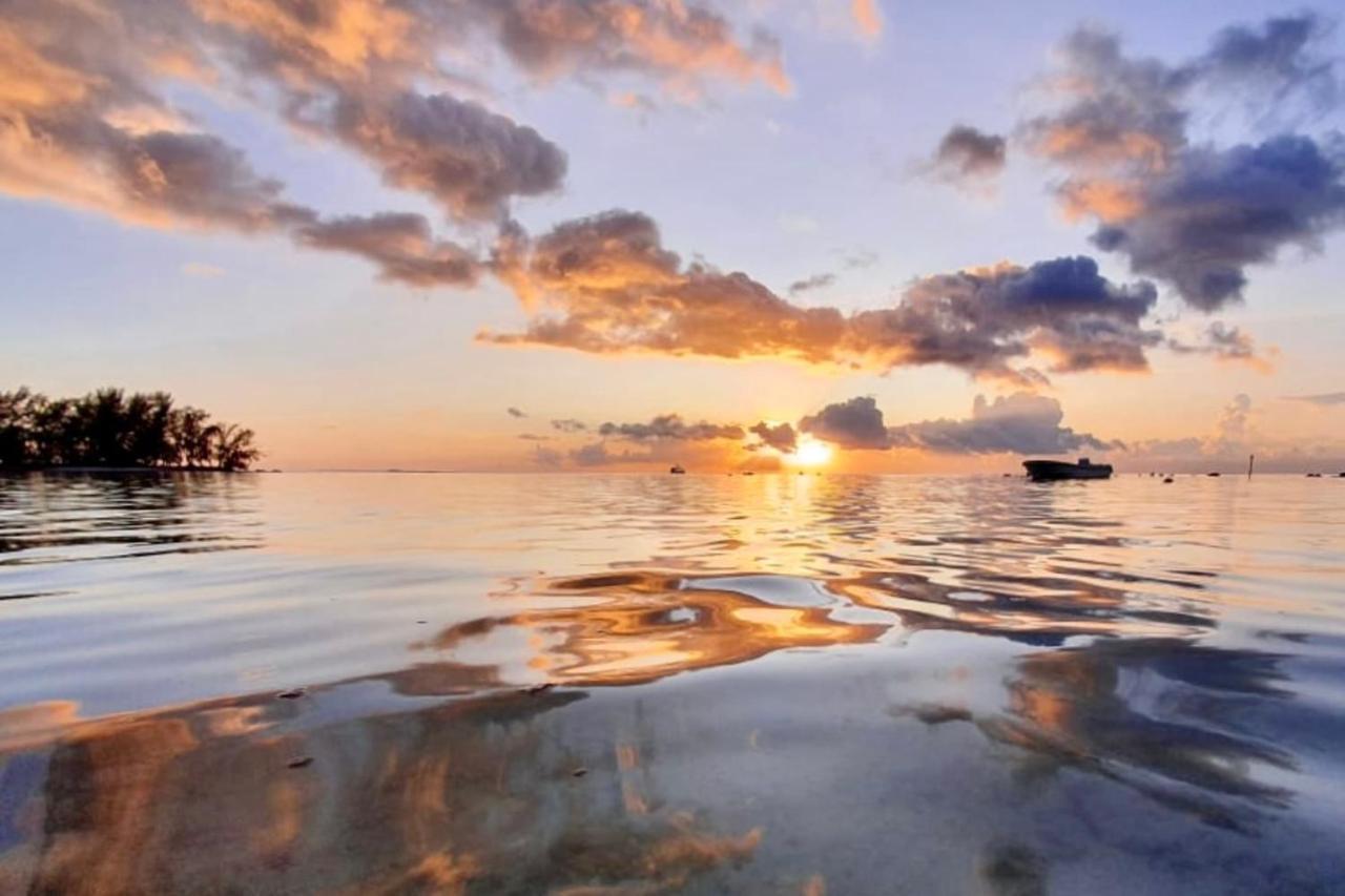 Auti Studio Direct Access To The Beach On Moorea With Ac -Wifi - Netflix Apartment Haapiti ภายนอก รูปภาพ